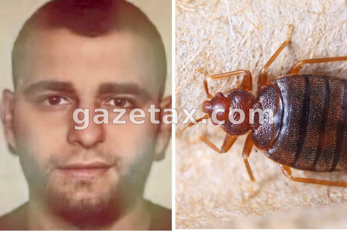 Pleshtat ndërpresin gjyqin në Bruksel ndaj narkotrafikantit shqiptar, gjyqtarja: Lani rrobat me 60 gradë Celcius