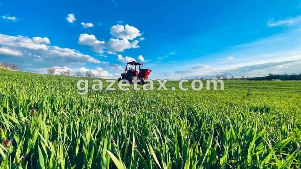 Hapet afati për subvencione në blegtori dhe akuakulturë për vitin 2025