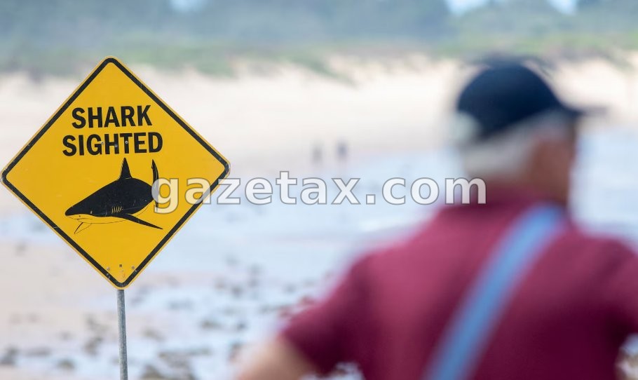 Sërfist kafshohet nga peshkaqeni në Australi, sulmi i katërt brenda 48 orëve