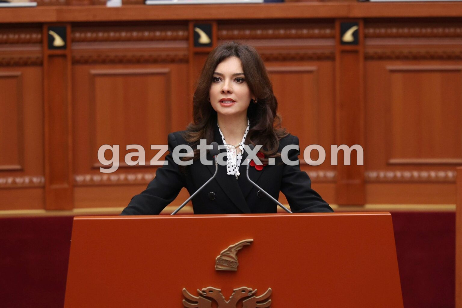 Karta e Bordit të Paqes, Spiropali: Zëri i Shqipërisë po forcohet në skenën globale