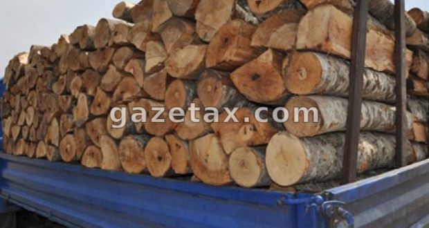 Persona të panjohur prerë pyllin e një qytetari në Zubin Potok, dëmi rreth 700 euro